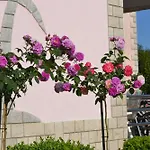 Apartman Baldi -apartmani Danny Tar-Vabriga
