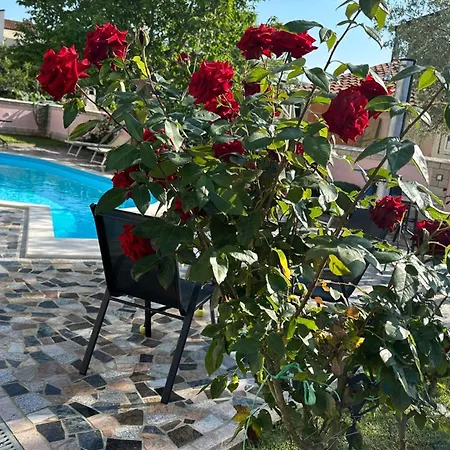 Baldi -apartmani Danny