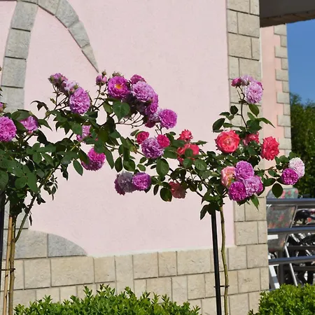 Appartement Baldi -apartmani Danny Tar-Vabriga