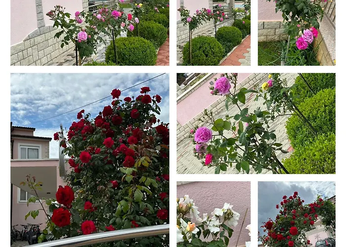 Apartment Baldi -apartmani Danny