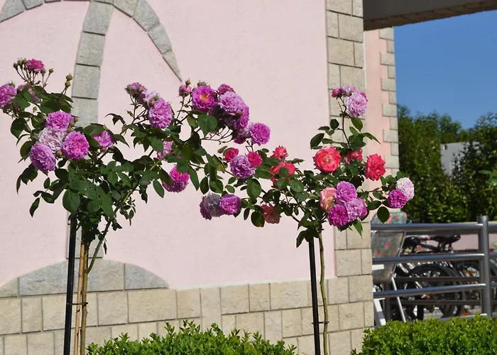 Apartman Baldi -apartmani Danny Tar-Vabriga